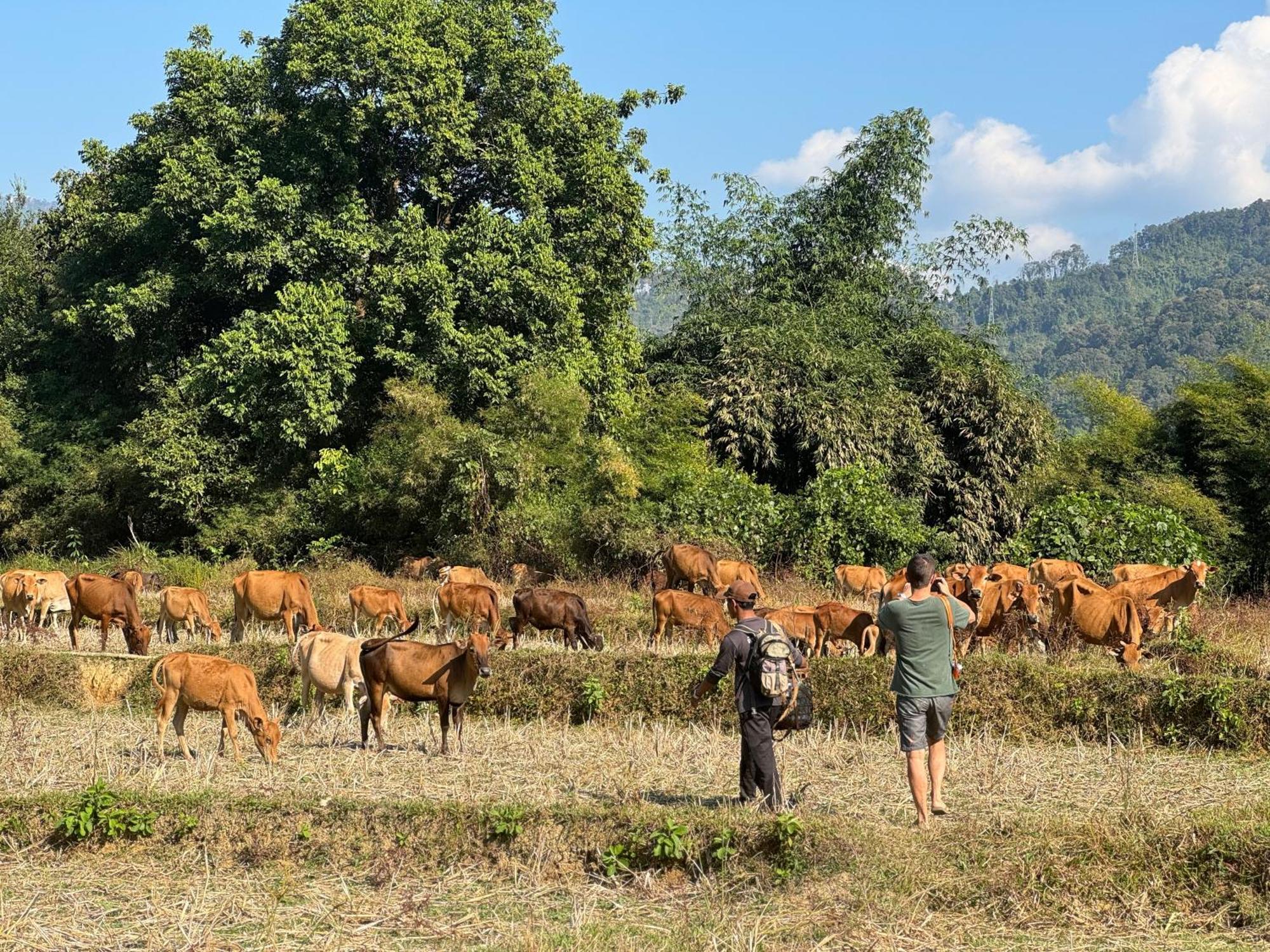 Riverside Boutique Resort, Vang Vieng Εξωτερικό φωτογραφία